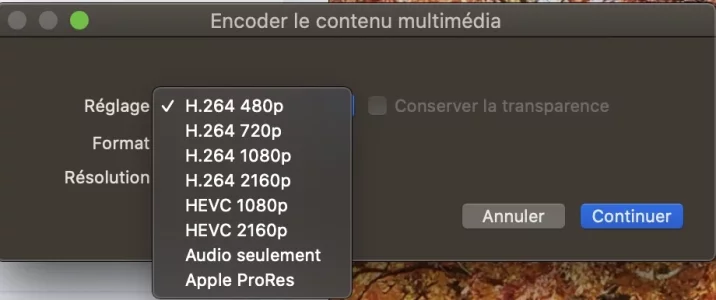 Capture d’écran 2020-05-11 à 10.42.54.webp
