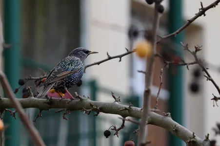 2015-12-20 14.17.54.webp