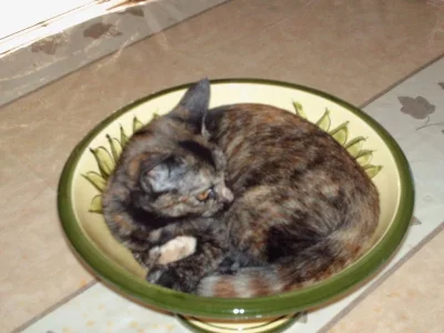 2 MINA.webp