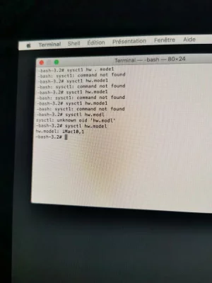15897900062255075261439035585710.webp