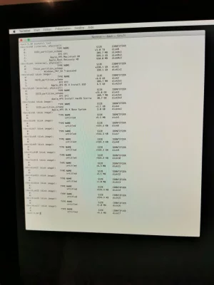 15900063377932165001705569231688.webp
