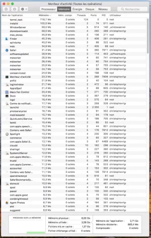 moniteur-memoire.webp