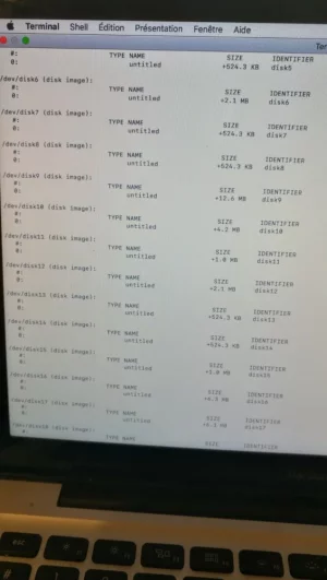diskutil-info-1.webp