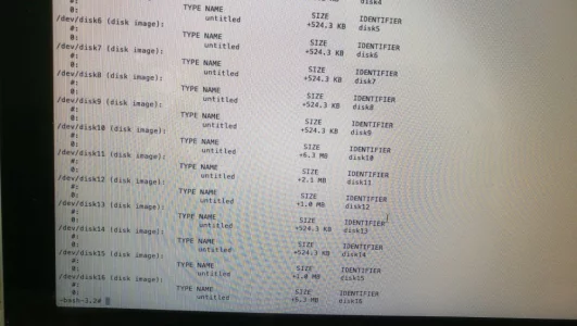 diskutil_list_2.webp