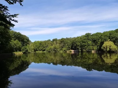 Fontainebleau 4.webp