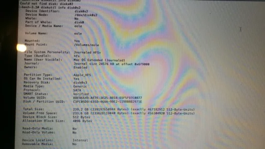 diskutil_info_disk0s2.webp