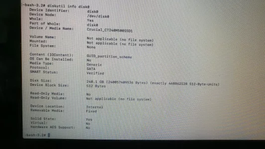 diskutil_info_disk0.webp