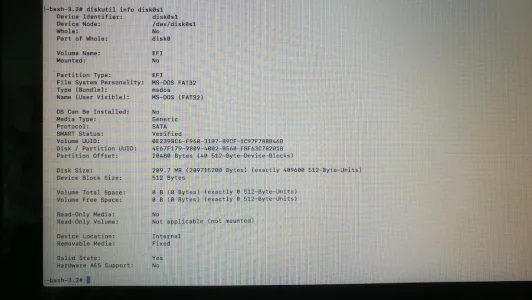 diskutil_info_disk0s1.webp