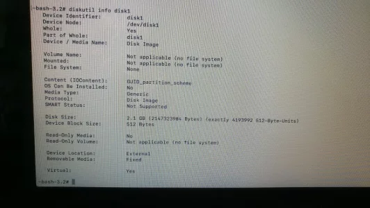 diskutil_info_disk1.webp