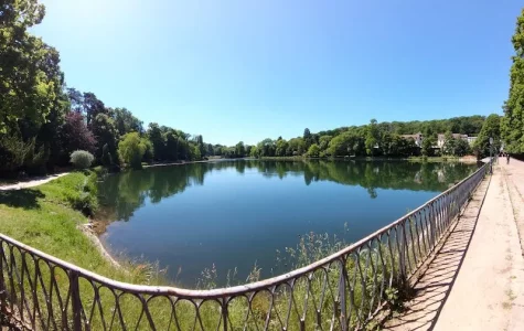 Fontainebleau 1.webp