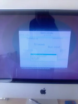 1591008790522-151390111.webp
