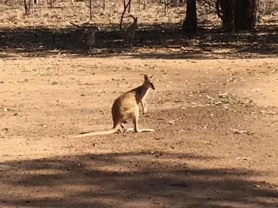 Perth 2.webp