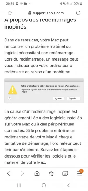 Screenshot_20200601-205602_Samsung Internet.webp