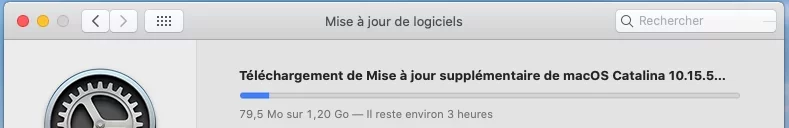 Capture d’écran.webp