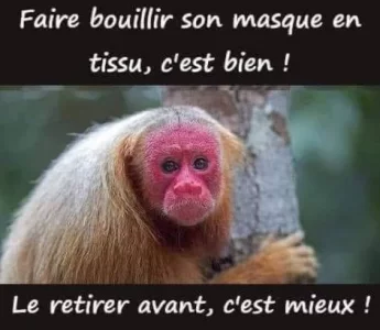 1591453061876.webp