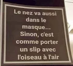 1591456857783.webp
