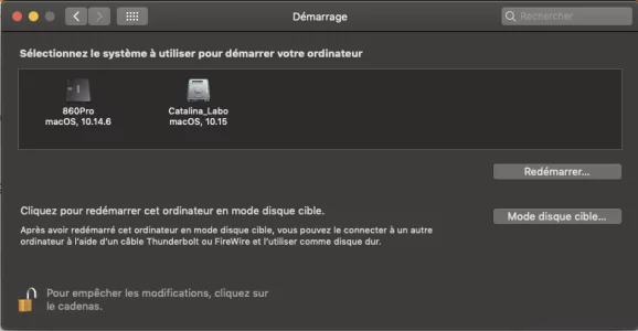 Capture d’écran 2020-06-07 à 09.59.04.webp