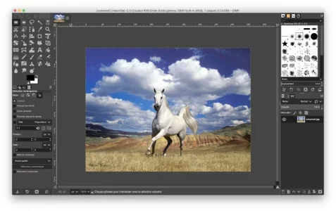 Capture-001.webp