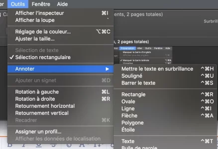 Capture d’écran 2020-06-12 à 11.20.03.webp