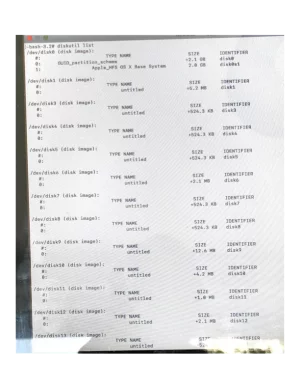 L-bash-9.2 diskutil list.pdf