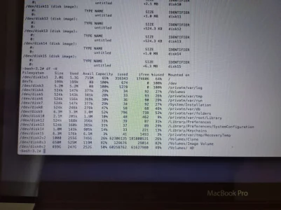 15924613375068878920540532106189.webp
