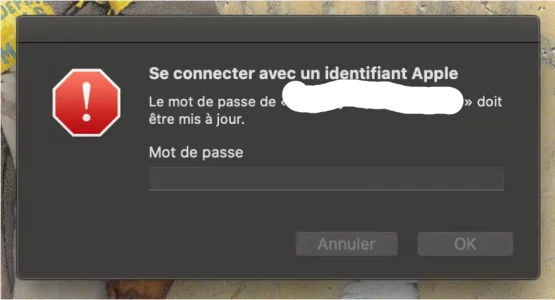 Capture d’écran 2020-06-18 à 09.58.45.webp Capture d’écran 2020-06-18 à 09.58.45.webp