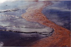 Couleurs de Yellowstone 1998 USA.jpg
