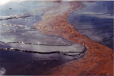 Couleurs de Yellowstone 1998 USA.webp