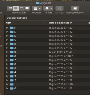 Capture d’écran 2020-06-23 à 10.25.02.webp