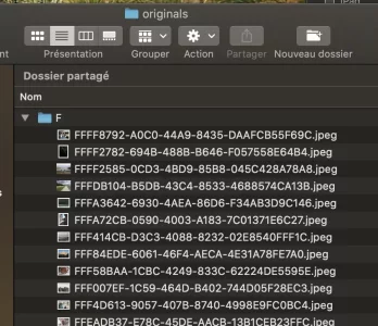 Capture d’écran 2020-06-23 à 10.25.56.webp