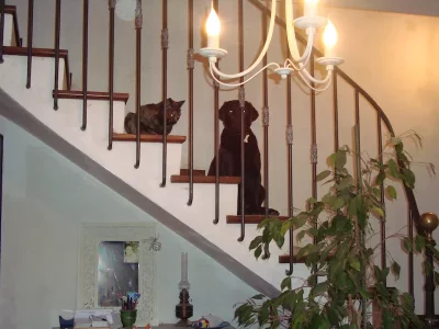 0-Janv-11 8mois (39).webp