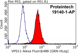 VPS11-Antibody-19140-1-AP-FC-25655.jpg