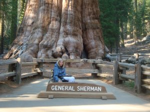 SEQUOIA PARK-GENERAL SHERMAN six tall human foot.JPG