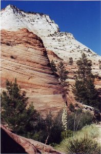 Bryce Canyon 3 1998 USA.jpg