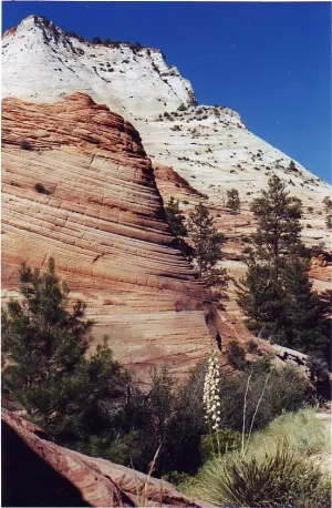 Bryce Canyon 3 1998 USA.webp