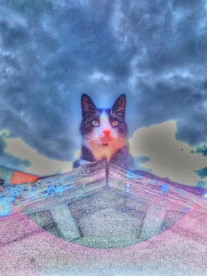 IMG_20200706_172620___tonemapped.webp