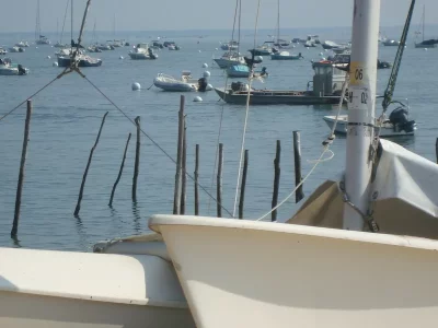 2 Cap Ferret 9.webp