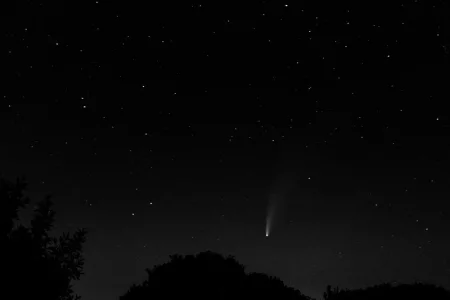 DSC_0537a.webp