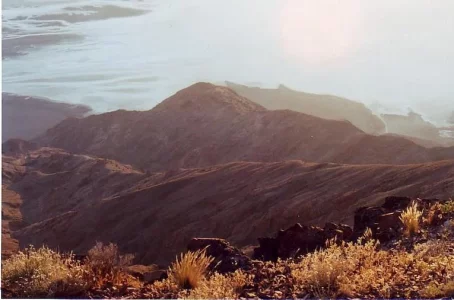 1998 USA.webp
