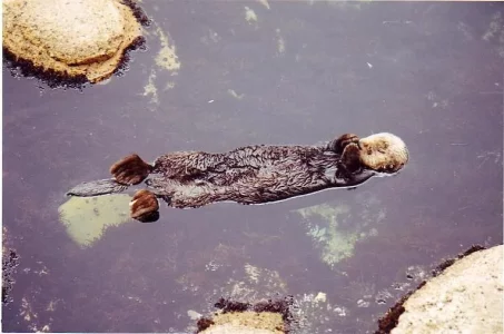 1998 USA 006 08_2.webp