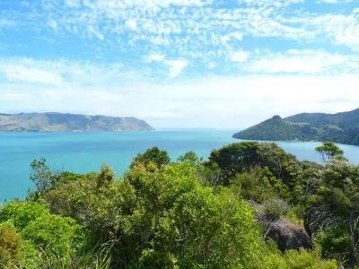 New Zealand 2.webp