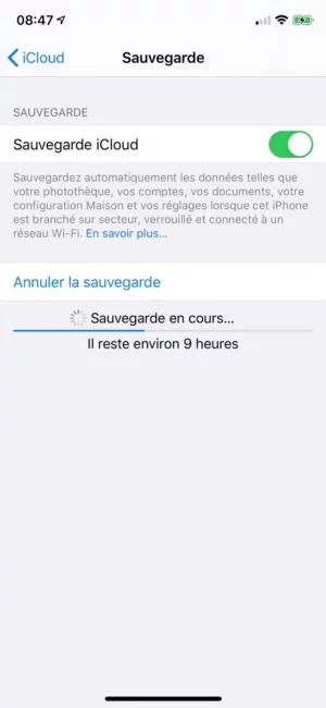 IMG_4575.webp IMG_4575.webp