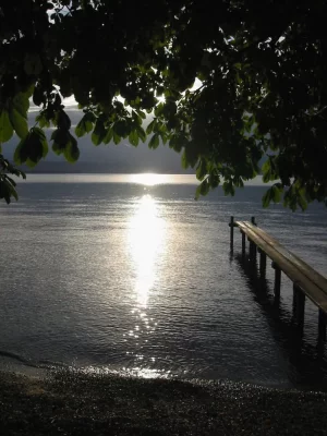 Ponton copie.webp