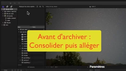 Capture d’écran 2020-08-01 à 13.26.58.webp