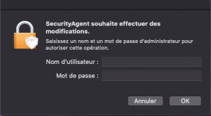 Capture d’écran 2020-08-01 à 21.10.21.png