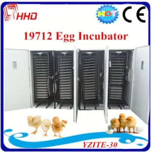Full-Automatic-Large-Poultry-Chicken-Egg-Incubator-for-19712-Eggs.webp