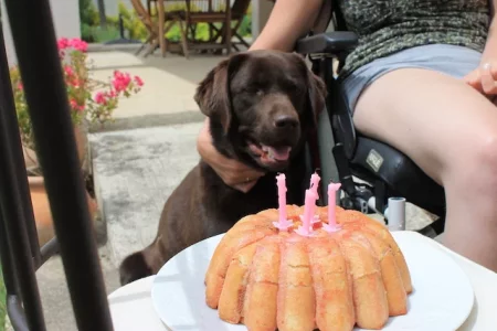 4 Lola 4ans 3.webp