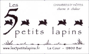 les+5+petits+lapins-logo-aaf4fcb0ad9b28148d3a5d47d01125d7bfe2cce5a8921b60458e9697b8dcb548.jpg