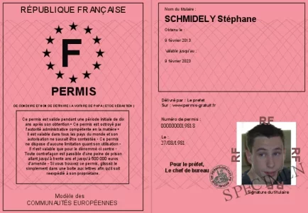 700-19818-Permis-de-conduire-et-non-de-detruire-la-voiture-de-Papa-(-et-de-Sebastien-).webp