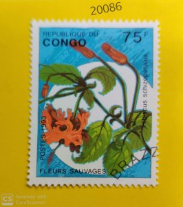 congo-flower-20086-77359-1.jpg